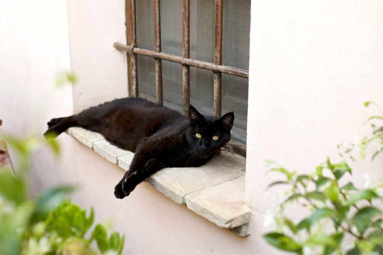 Al Guado Di Assisi B&B Bastia Umbra Eksteriør billede